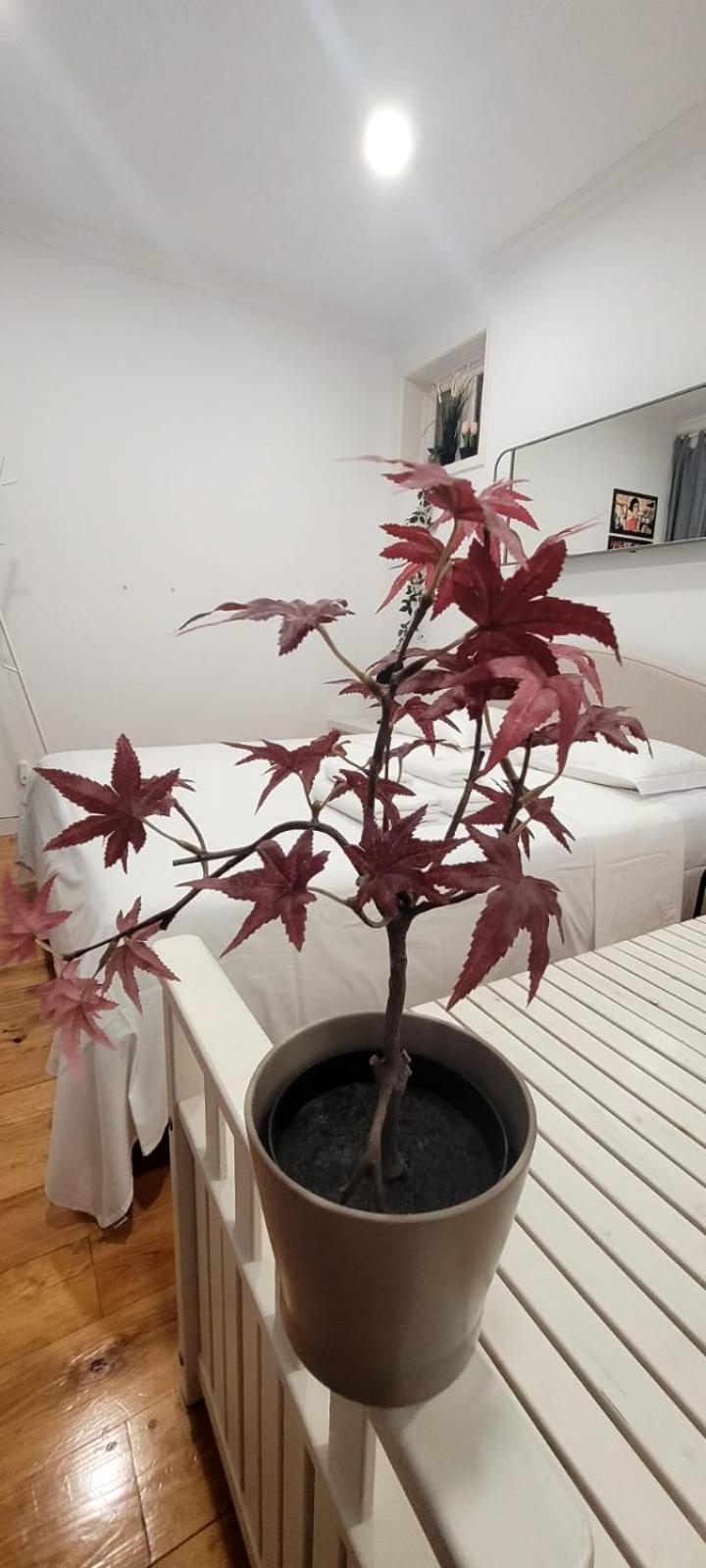 Varanda Privada Iroom Lisbon Bagian luar foto