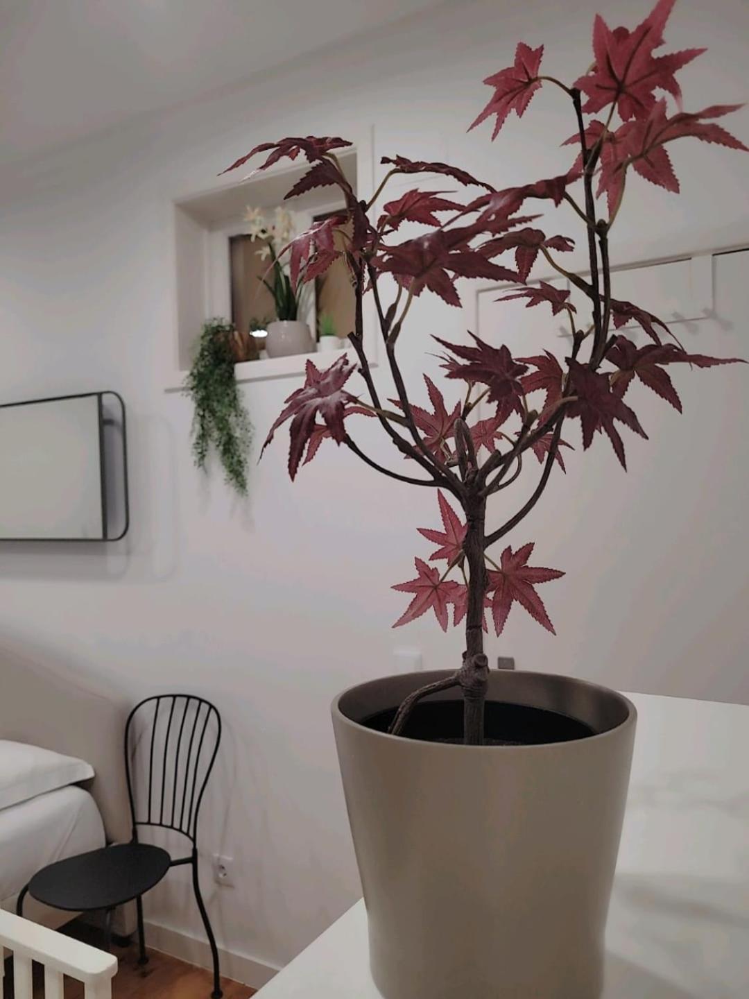Varanda Privada Iroom Lisbon Bagian luar foto